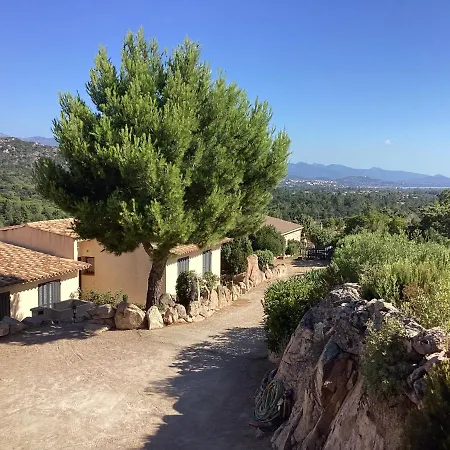 Fiori Di Santa Giulia