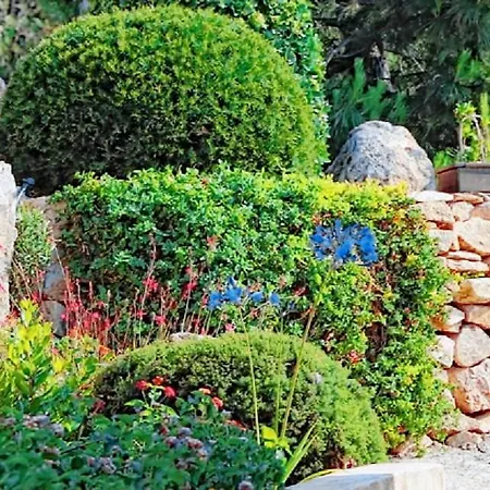 Fiori Di Santa Giulia Porto Vecchio