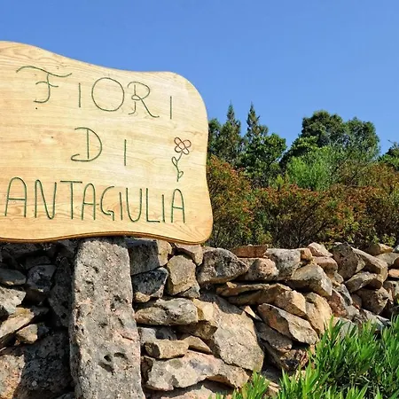 Parco vacanze Fiori Di Santa Giulia 3*